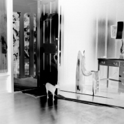 15_Contradiction_of_Light