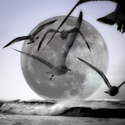 Moonset-i