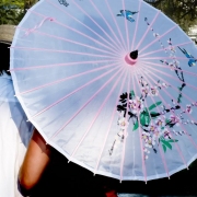 Umbrella