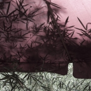 Wet-Canvas-and-Bamboo