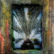 Palm