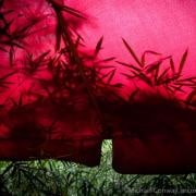 Wet Bamboo Against Wet Ruby Red Canvas
