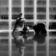 Lincoln Center Park