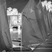 31_Contradiction_of_Wind-2