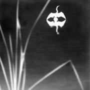 32_Contradiction_of_Light-and-Light-2