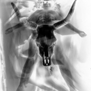 41_Contradiction_of_Death-2
