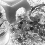 33_Contradiction_of_Light-and-Life-3