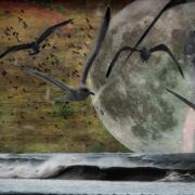 The-Celibate-and-Anchorite-Luna-Maria_v2-CR