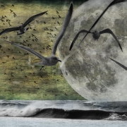 Sister Luna Margarita