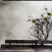 Degradated Shadows, Spring