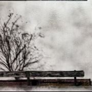 Degradated Shadows, Winter