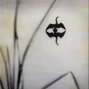 Serinity Of A Fall Morning