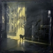 Two Legged Cat - 12 x 12