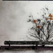 Degradated Shadows, Fall