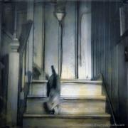 Cat On Stairs - 12 x 12