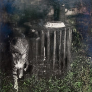 Prowl I, photo mixed media by Michael Conway